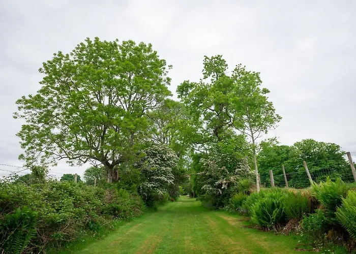 Top Hotels in Port Appin Argyll for Your Dream Vacation