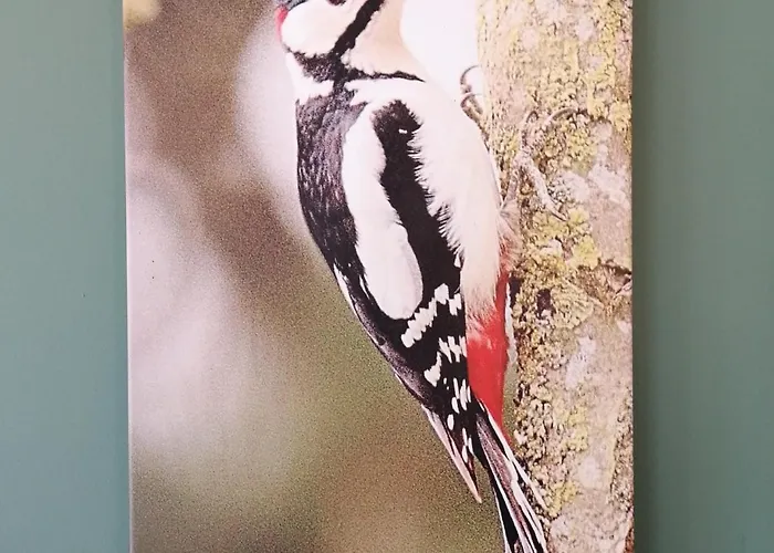 Top Hotels in Kirby Misperton, UK