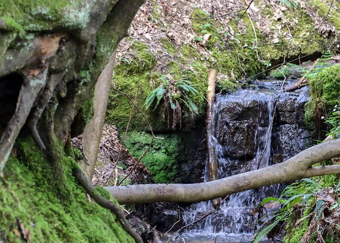 Top Hotels Near Charming Heathfield