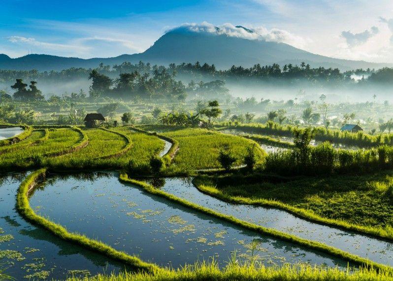 L'alba a Tirta Gangga, Bali
©John Harper/Getty Images