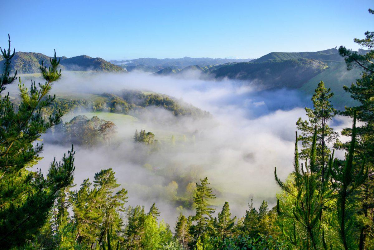 The view from River Road is particularly beautiful in the morning, when the haze from the Whanganui still envelops the green hills in billowing mist, New Zealand - © FRASHO / franks-travelbox