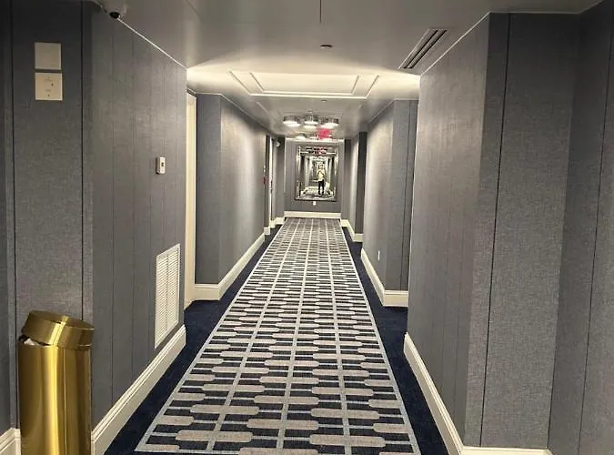 Top Hotels in Miami Beach For Unforgettable Stays