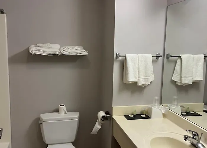 Top Springfield IL Hotels with Indoor Pools