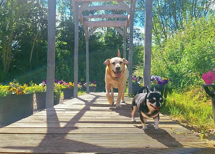 Top Hotels in Tuxford Village