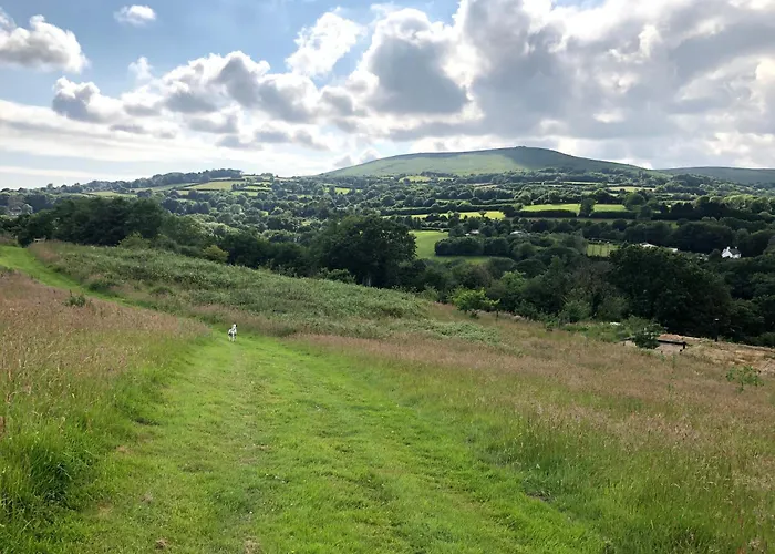 Best Hotels in South Brent, Devon