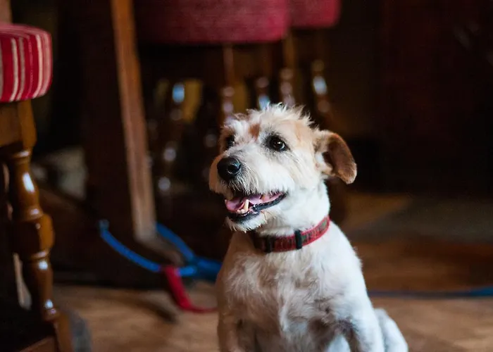 Unrivaled Mullion Cornwall Hotels