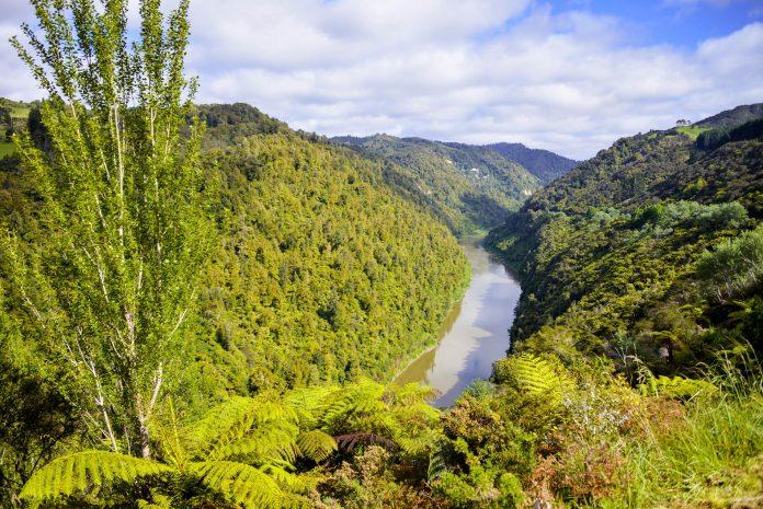 Whanganui National Park, New Zealand